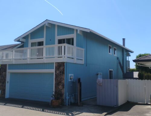 Expert Residential Exterior Painting in Novato for Referred Clients