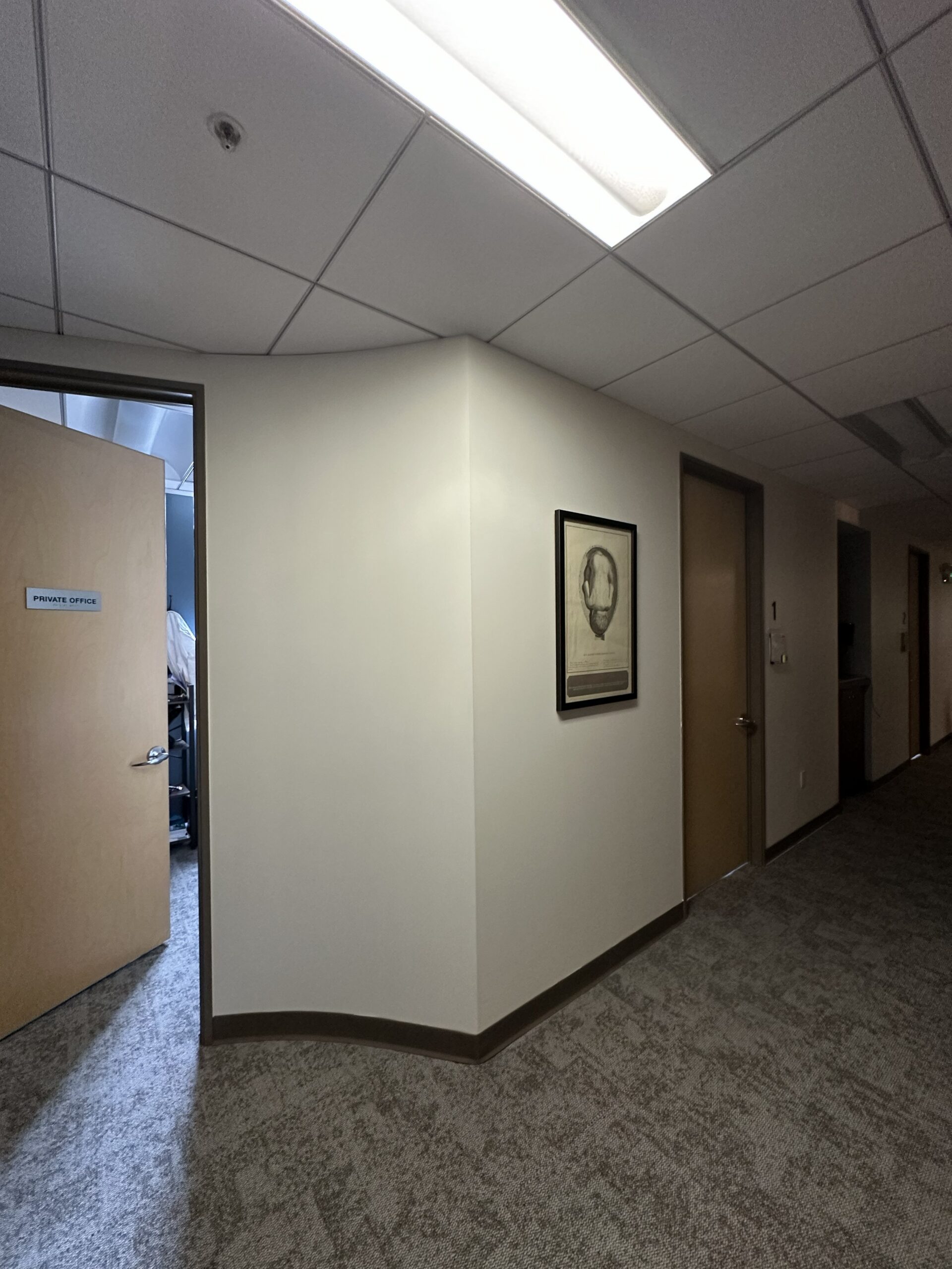 Expert office hallway painting services A bright, freshly painted office hallway with a private office door and modern carpet flooring.